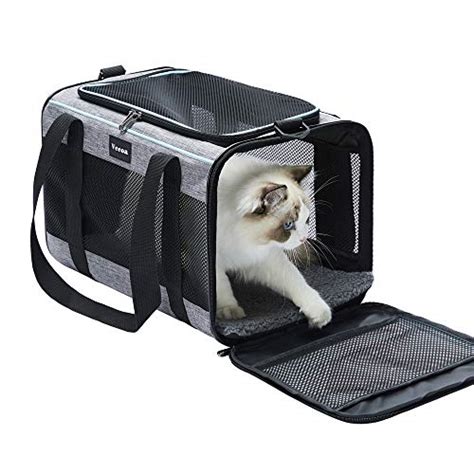 10 Best Cat Carriers in 2024 .